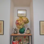 Studio Hedera